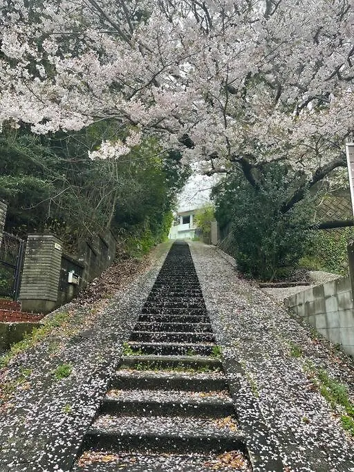 日本の松を贅沢に使った特別感のある別荘 Lemon Villa 福岡 日本