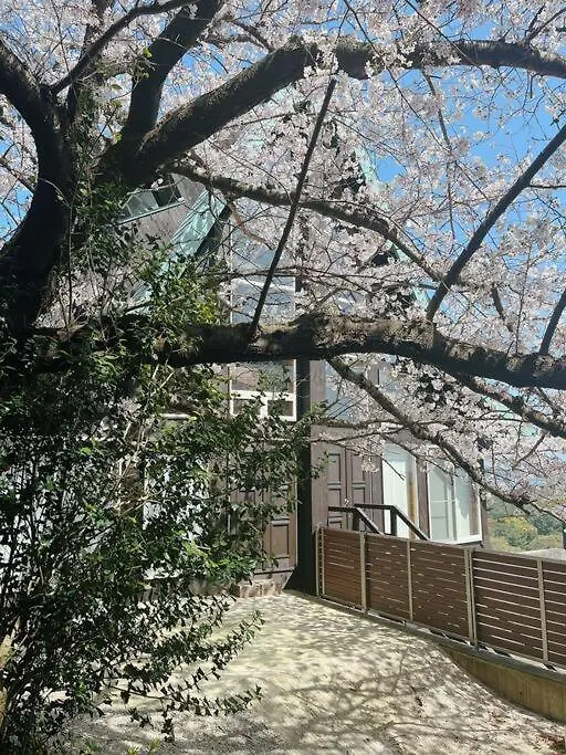 日本の松を贅沢に使った特別感のある別荘 Lemon Villa 福岡 度假居