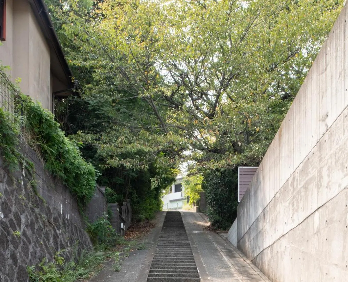 日本の松を贅沢に使った特別感のある別荘 Lemon Villa 福岡 0*,